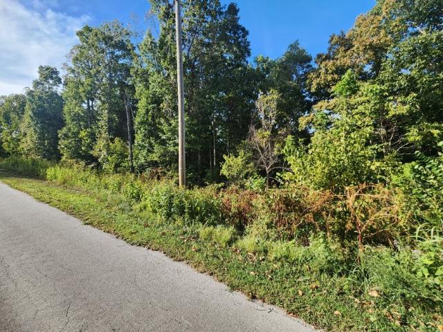 Land for sale in Bella Vista, Benton County