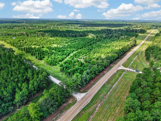Land for sale in Lovelady, Texas