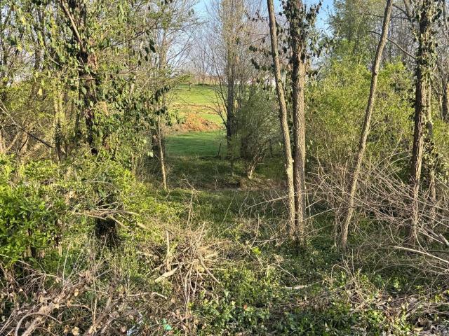 Land for sale in Salvisa, Kentucky