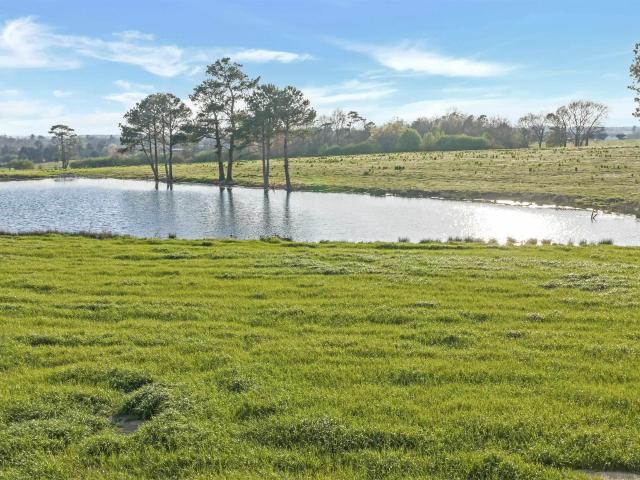 Land for sale in Rainsville, Alabama