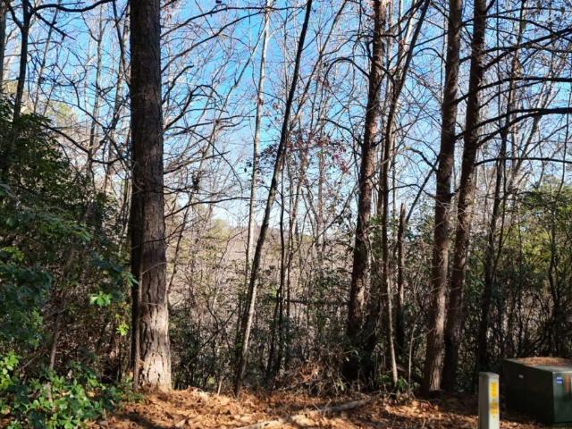 Land for sale in Sautee Nacoochee, Georgia