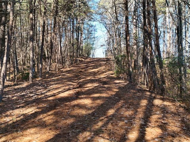Land for sale in Georgia