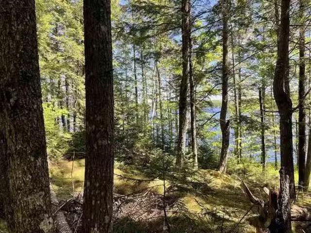 House for sale in Chester Grant, Nova Scotia
