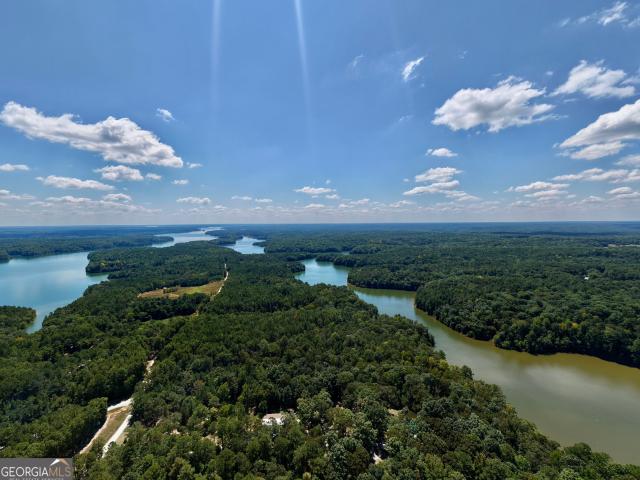 Land for sale in Elbert, Georgia