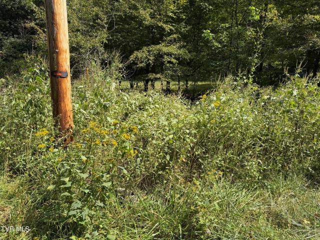 Land for sale in Tennessee