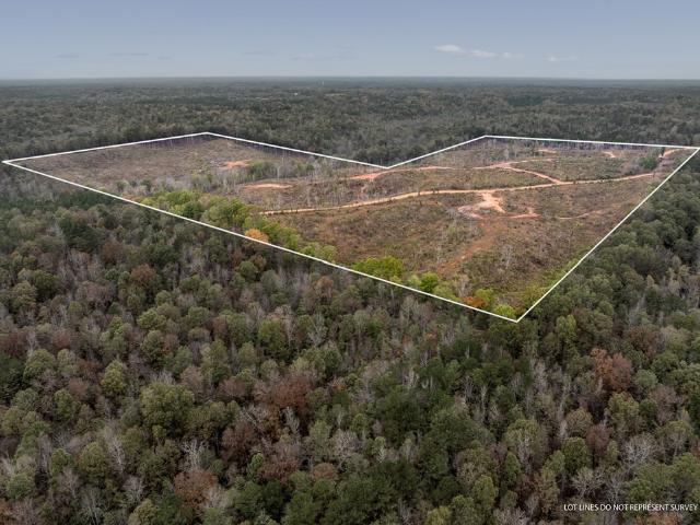 Land for sale in Amory, Mississippi