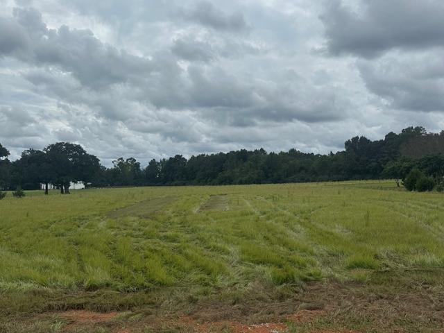 Land for sale in Rehobeth, Alabama