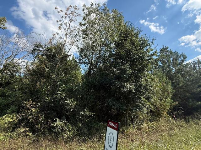 Land for sale in Davisboro, Washington County
