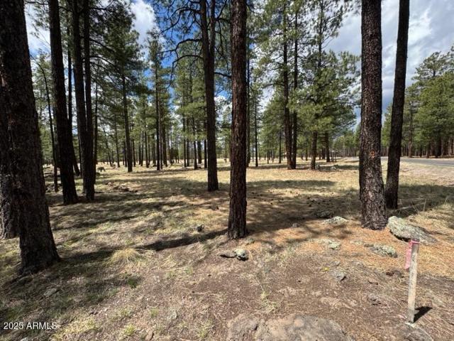 Land for sale in Flagstaff, Arizona