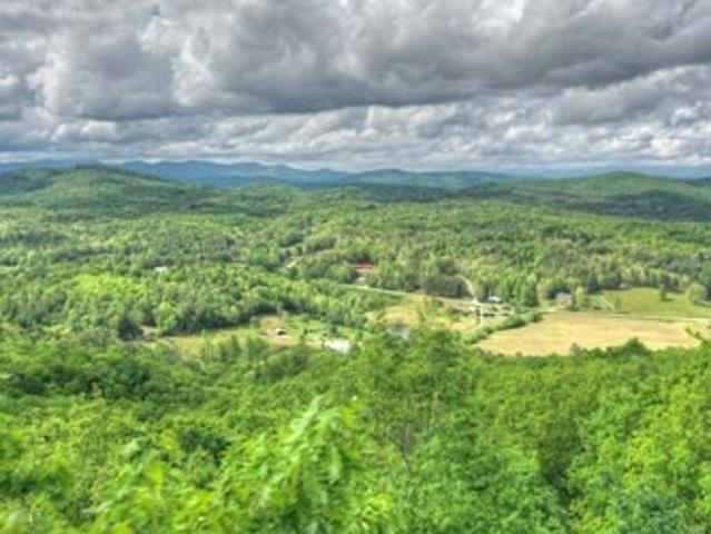 Land for sale in Morganton, Georgia