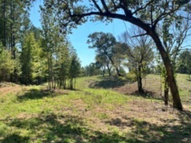 Land for sale in Shelby Springs, Calera