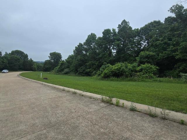 Land for sale in Cabool, Missouri