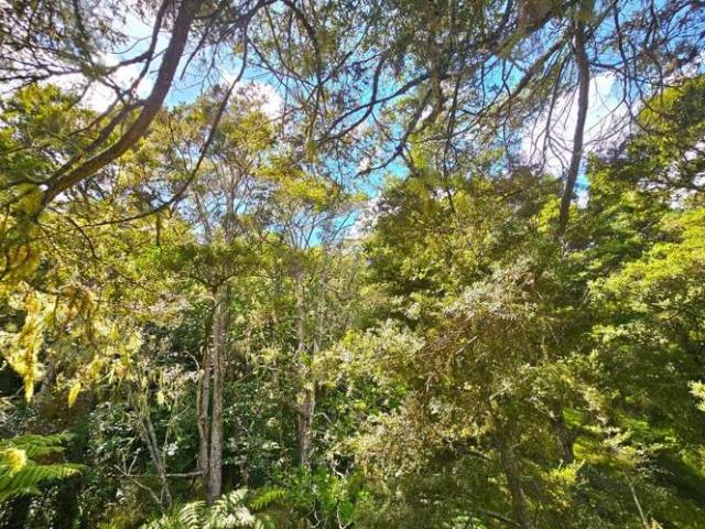Property for sale in Ohaeawai, Northland