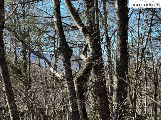 Land for sale in Blowing Rock, North Carolina