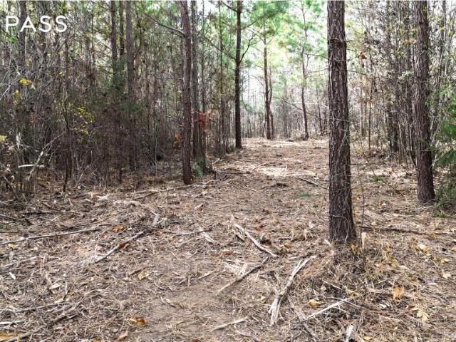 Property for sale in Roxboro, North Carolina