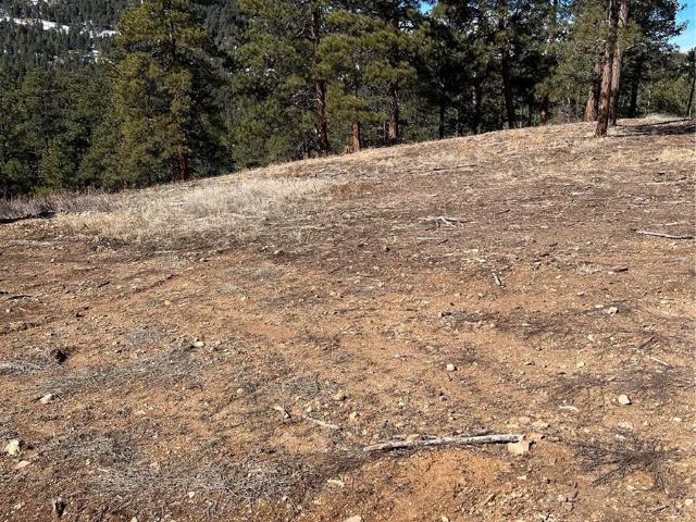 Land for sale in Colorado