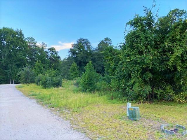Land for sale in Dillon, South Carolina