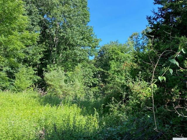 Land for sale in Amenia, New York