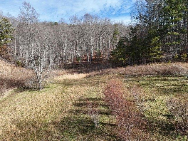 Land for sale in Blairsville, Georgia