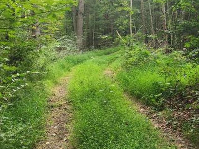 Land for sale in Juniata Furnace, Centre Township