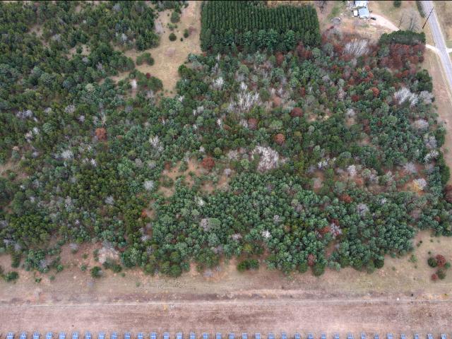 Land for sale in Stacy, Minnesota