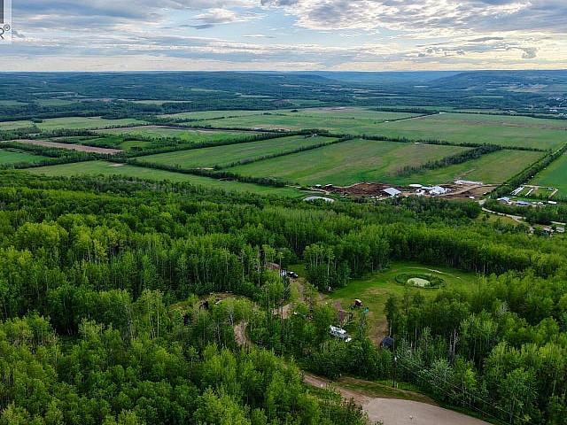 Land for sale in Tomslake, British Columbia