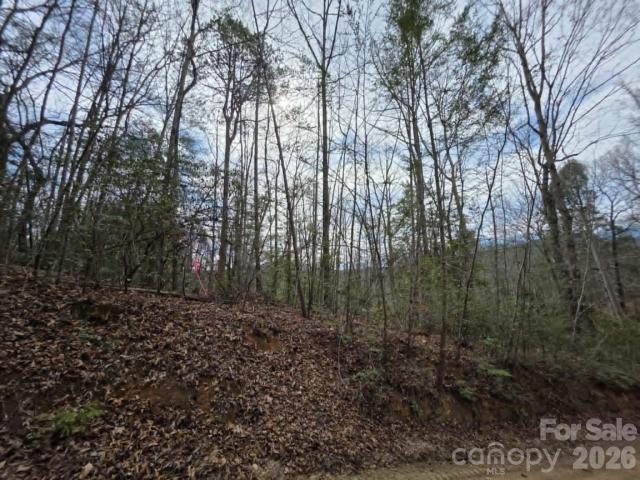 Land for sale in Old Fort, North Carolina