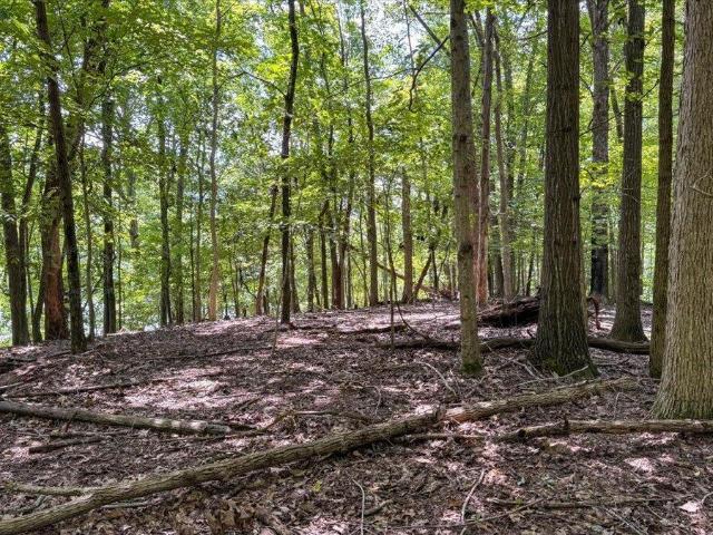Land for sale in Tennessee