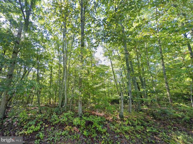 Land for sale in Virginia