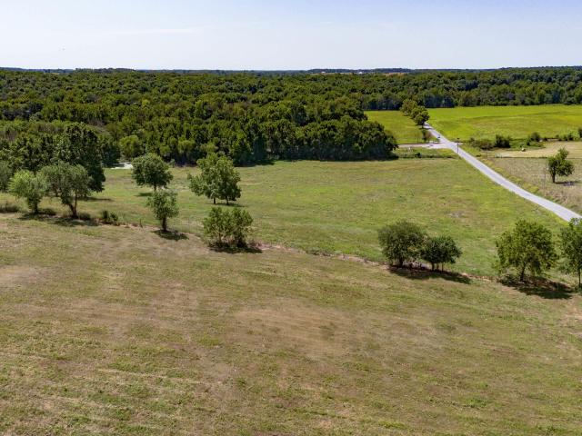 Land for sale in Pierce City, Missouri