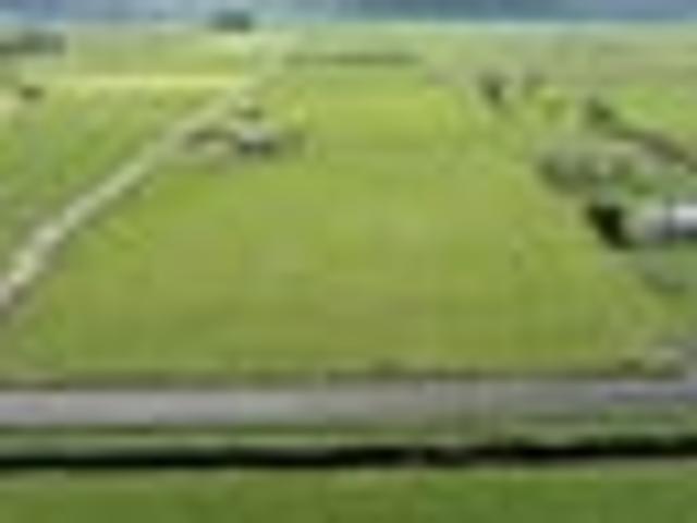 Land for sale in Gordonton, Waikato