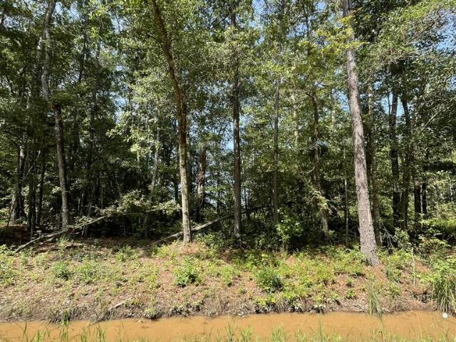 Land for sale in Midway, Georgia
