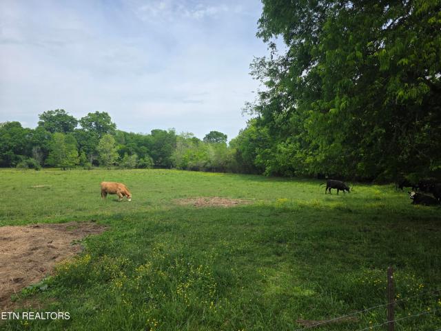 Land for sale in Tennessee
