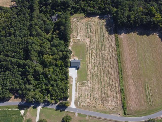 Land for sale in Galivants Ferry, Horry County