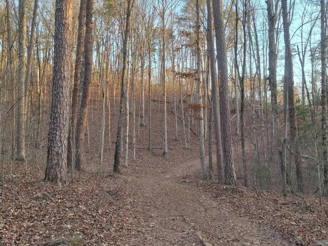 Land for sale in Tennessee