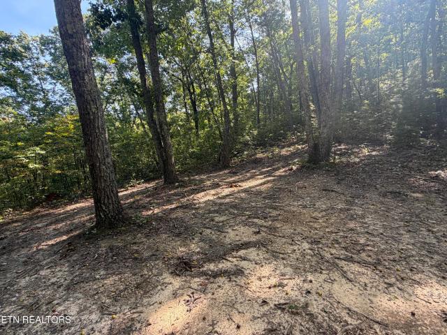 Land for sale in Tellico Plains, East Tennessee