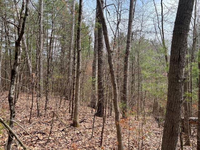 Property for sale in Ware, Massachusetts
