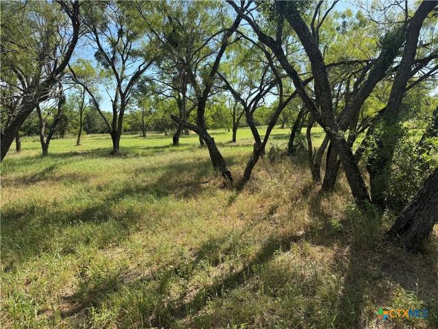 Land for sale in Bangs, Texas