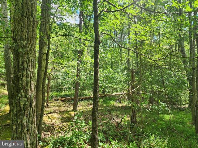 Land for sale in Romney, West Virginia