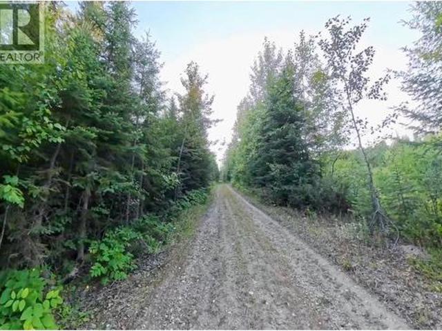 Land for sale in Parson, British Columbia