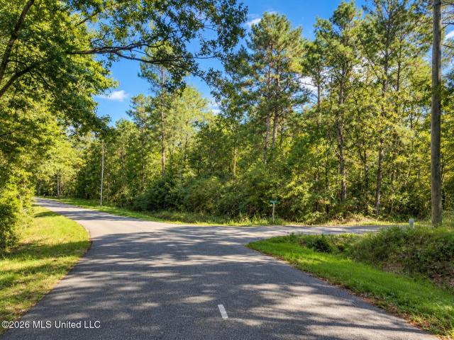 Land for sale in Picayune, Pearl River County