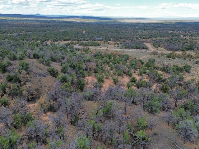 Land for sale in Catron County, New Mexico