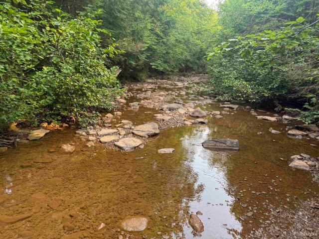 Land for sale in Michigan
