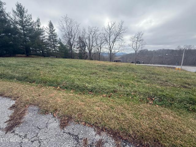 Land for sale in Jonesville, Lee County
