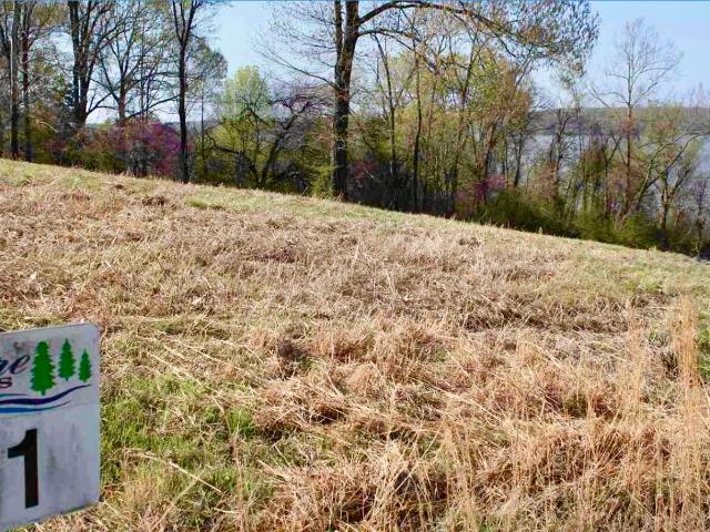 Land for sale in Eddyville, Lyon County