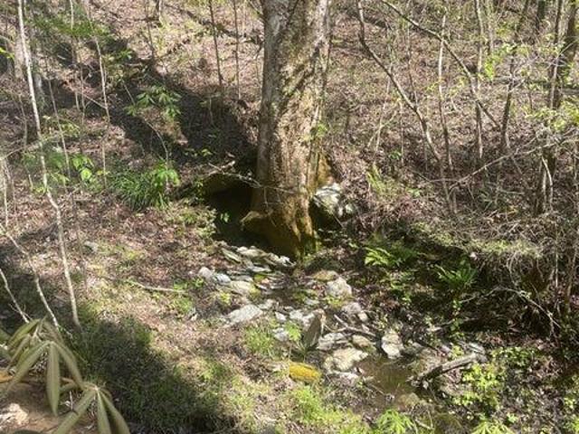 Land for sale in Tennessee