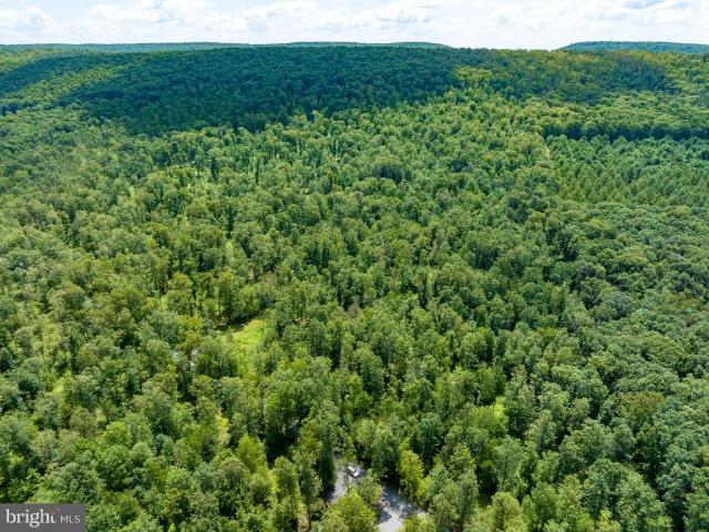 Land for sale in Spring Mills, Pennsylvania