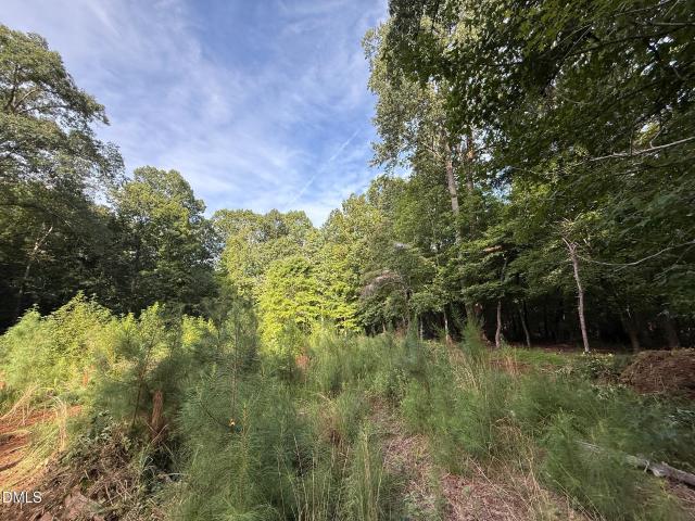 Land for sale in Hillsborough, North Carolina