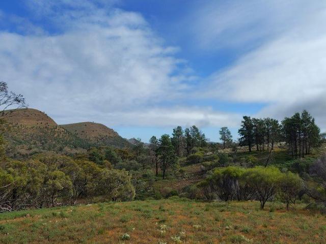 Cottage for sale in South Australia