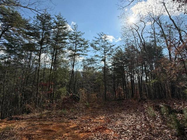 Land for sale in Tennessee